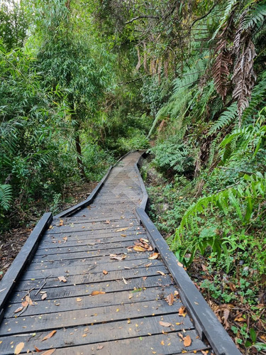 Sitio En Venta En Puerto Varas