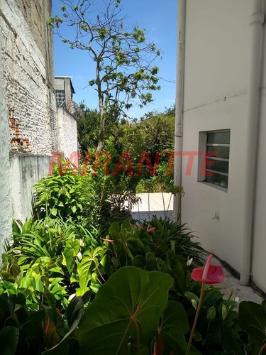 Imagem 6 de 8 de Terreno Em Jabaquara - São Paulo, Sp - 338772
