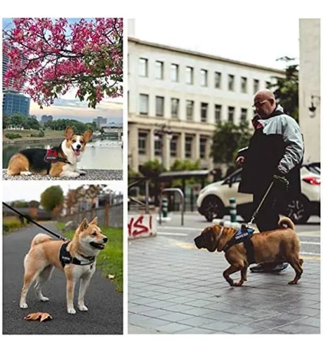 Parches Para Chaleco De Perro Para Arnés De Perro, Parches E
