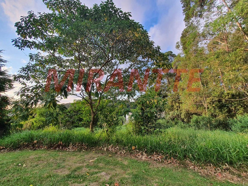 Imagem 8 de 9 de Terreno Em Serra Da Cantareira - São Paulo, Sp - 315466