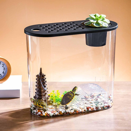 Aquário De Mesa Resistente Com Tampa Mini Tampa Preta