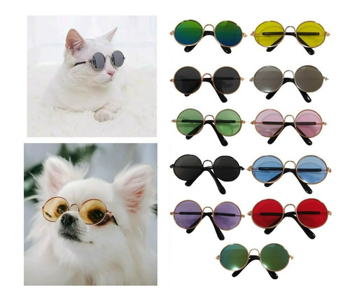 Óculos Pet Verão Pinscher Lulu Chihuahua + Brinde Frango Top