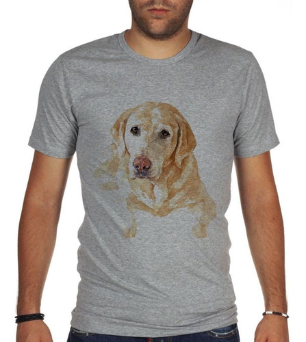 Remera De Hombre Perro Labrador Rubio Pintura