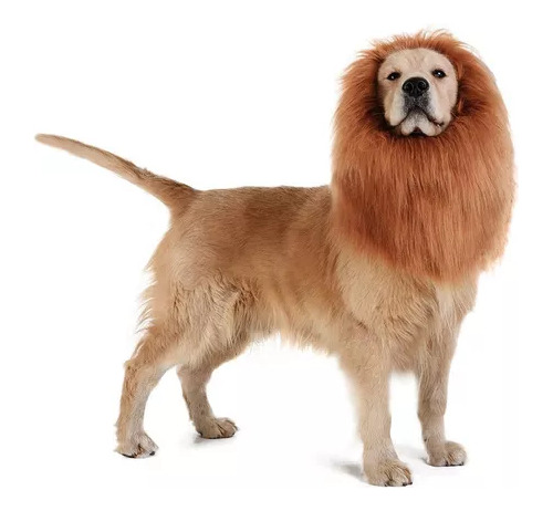 Set De Peluca De Melena De Perro Con Cola Para Halloween