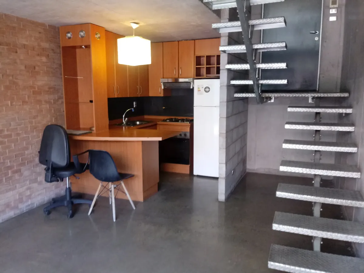 Imagen 2 de 15 de Departamento Loft, Amplio, Con Terraza