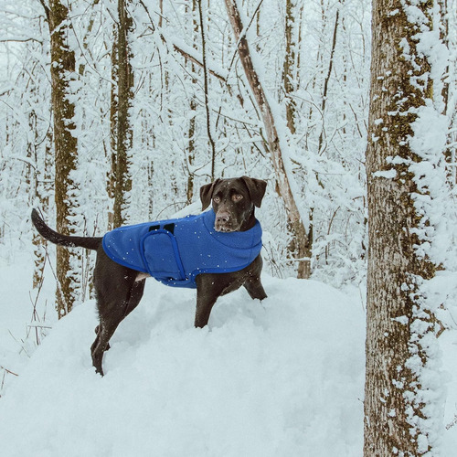 Chaleco Para Perro Pequeño Queenmore De Polar Suave