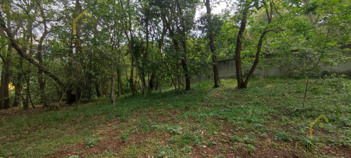 Terreno Enventa En Piedra De Agua En Jilotepec Veracruz