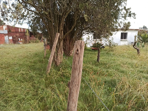 Sauce,chacra, Casas,galpones, Prox A Ruta 6, Vendo Financio