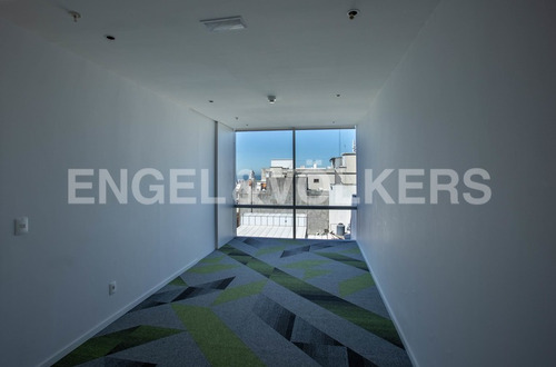 Imagen 5 de 14 de Oficinas Corporativas En Alquiler En Ciudad Vieja