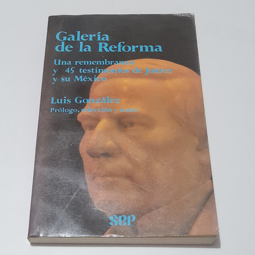 Galería De La Reforma Luis González 