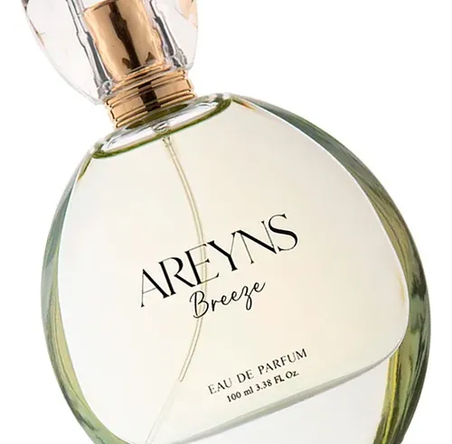 Areyns Femme Breeze Perfume De Mujer Edp X 100ml 3c
