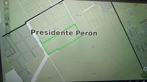 Campo En  Presidente Peron