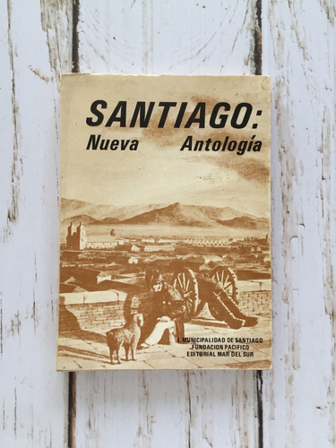 Santiago: Nueva Antología / Ruiz-tagle / Victoria Roepke
