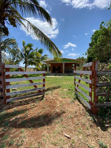 Rancho Cerca De Merida Yucatan 45 Hectareas Propiedad Privad