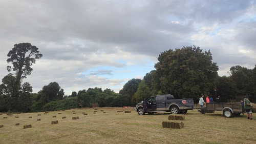 Terreno Agrícola En Venta 4,25 H En Puerto Octay