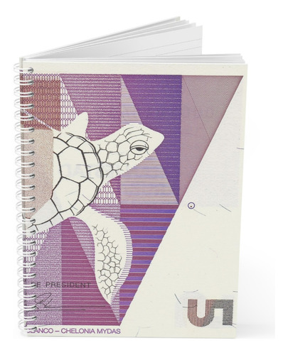 Cuaderno Libreta Profesional | 100 Hojas Pasta Semirigida 02 Cuadro Grande