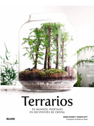 Terrarios 33 Mundos Vegetales En Recipientes De Cristal