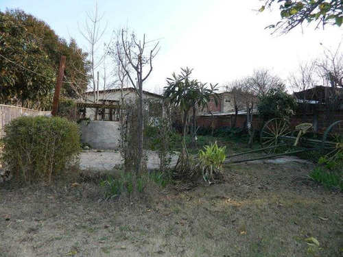 Imagen 6 de 16 de Gran Terreno En Arriendo
