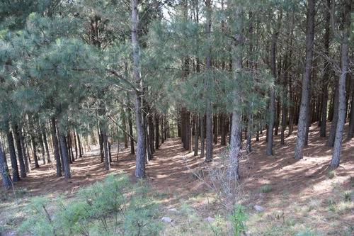 Imagen 21 de 25 de Venta Chacra Pueblo Eden Maldonado Ruta 60