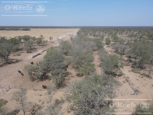 Campo En Venta 4100 Has.santiago Del Estero.apto Bonos Verde