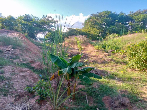 Terreno El Desvio Guatire La Rosa 3.859 M²