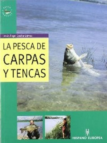 La Pesca De Carpas Y Tencas