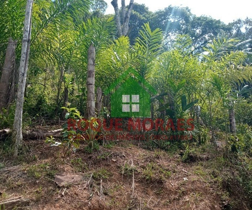 Imagem 11 de 30 de Sítio Medindo 34.000 M² No Vale Do Ribeira Sp Ref.: 0898