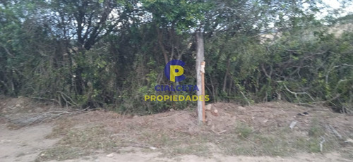 Imagen 12 de 12 de 5 Hectáreas, Entrega 8.000 Y El Saldo En Cuotas De 593 U$s