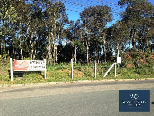 Imagem 1 de 1 de Área À Venda, 11000 M² Por R$ 2.530.000,00 - Barro Preto - São José Dos Pinhais/pr - Ar0034