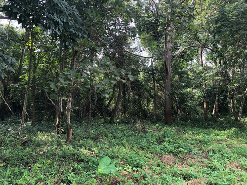 Terreno En Venta En Don Ventura