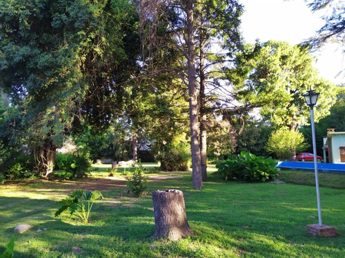 Imagen 2 de 14 de Vendo Excelente Quinta/casa De Campo En Junín.