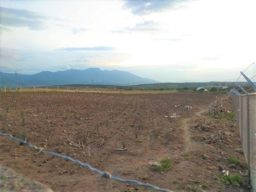Imagen 3 de 10 de Terreno En Venta Vitiug