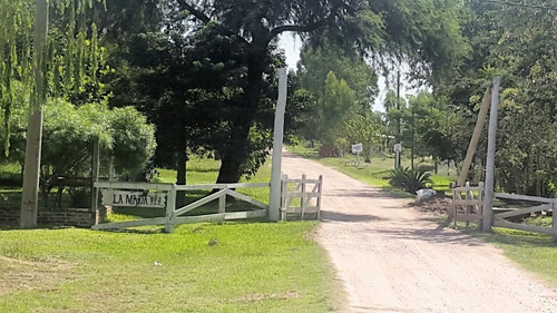 Imagen 1 de 14 de La Maria - Colonia Benitez