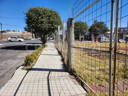 Atención Inversionistas!!!! Venta De Edificio, Terreno Y Cafetería