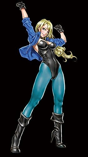 Kotobukiya Dc Comics Canario Negro Bishoujo Limited Estatua 