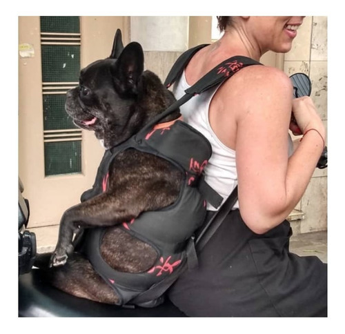 Imagen 4 de 9 de Mochila Para Perros Moto Y Bici Mochi Chunis Xl 8 A 12 Kg