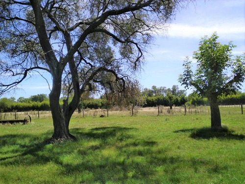 Imagen 17 de 18 de Casa Quinta En Venta San Andres De Giles El Candil Sin Exp!