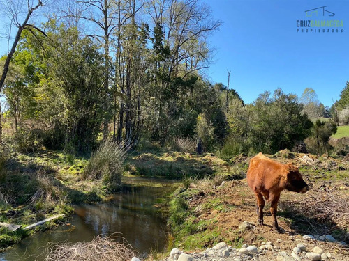 Agrícola En Venta En Fresia