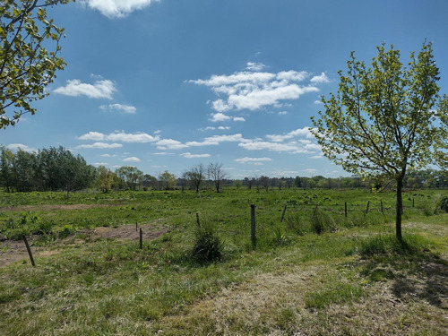 Imagen 28 de 30 de Campo En Venta Zona Polo, Pilar, Con 2 Canchas De Polo Y Varias Mejoras