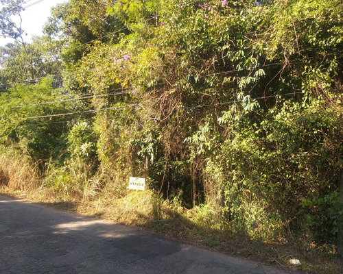 Imagem 4 de 7 de Terreno - Te00409 - 1516700
