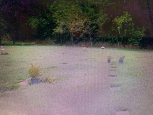 Cemitério Morumby - Jazigo Vazio Com 3 Gavetas Em Área Nobre