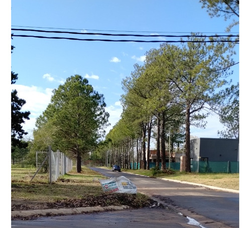 Excelente Lote Interno En Barrio Nueva Zelaya
