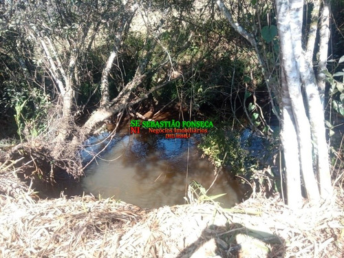 Chácara 5 Mil M² Em Virgínia - 1549