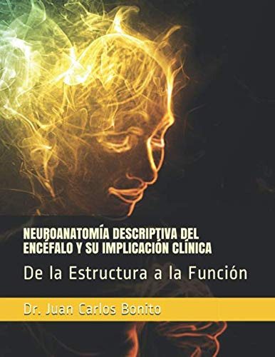 Neuroanatomia Descriptiva Del Encefalo Y Su Implicacion Clin