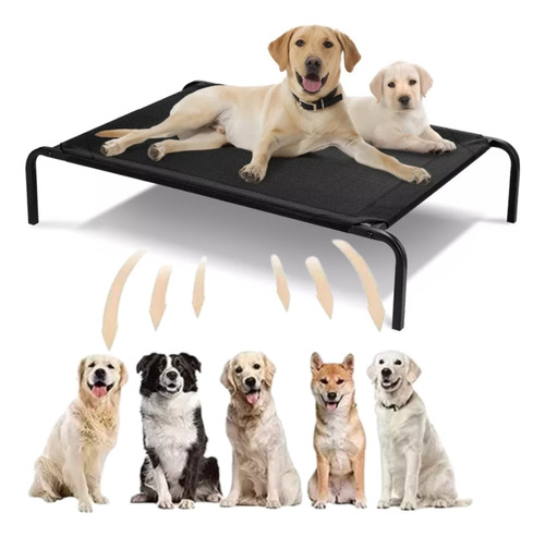 Cama Para Perro Grande Cama Elevada Para Perros Portátil L