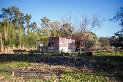 Imagen 6 de 6 de Santa Rosa , Cañuelas -lote Arbolado En Venta