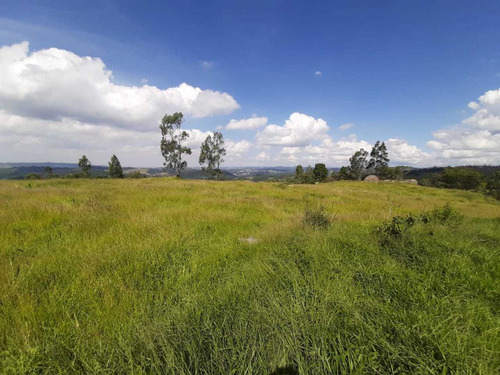 Imagem 2 de 13 de Lotes Com Excelente Topografia De 1000² Em São Roque