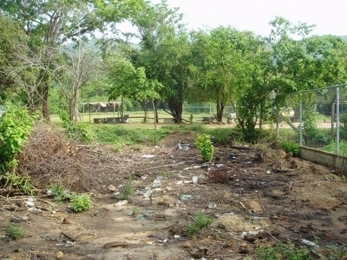 Imagen 21 de 30 de Maria Eugenia Blanco Vende Terreno En Morrocoy, Falcon 386942