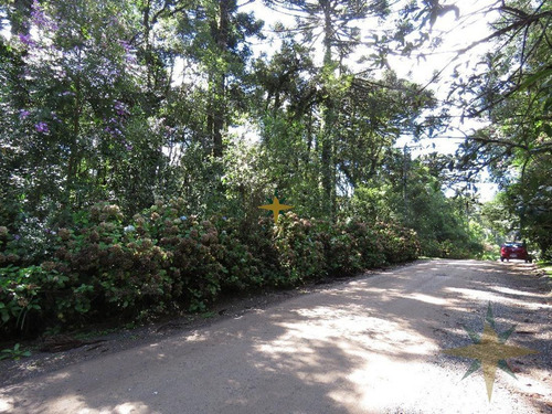 Imagem 2 de 2 de Terreno - 368