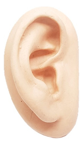 Orelha De Silicone Direita Para Acupuntura/terapia Auricular